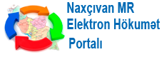 Elektron hokumet portali